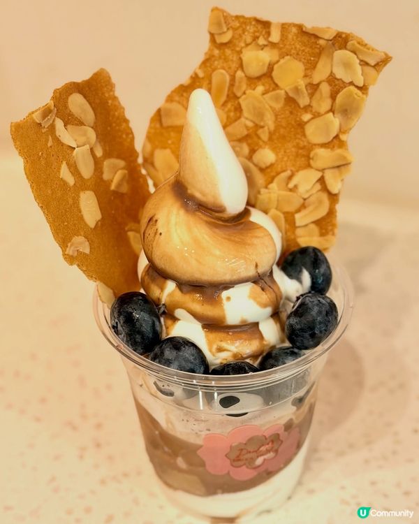 🍦【乳酪雪糕天花板Drool Froyo】✨ ｢滿足杯｣爆多...