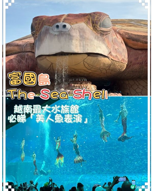 富國島巨龜水族館，人魚show，必打卡！🐢✨