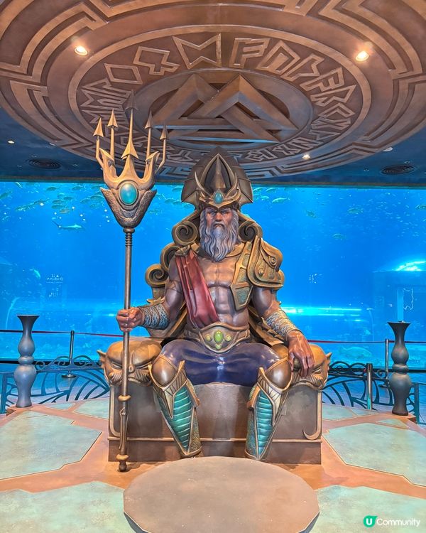 富國島巨龜水族館，人魚show，必打卡！🐢✨