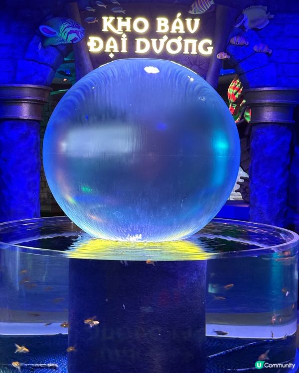 富國島巨龜水族館，人魚show，必打卡！🐢✨