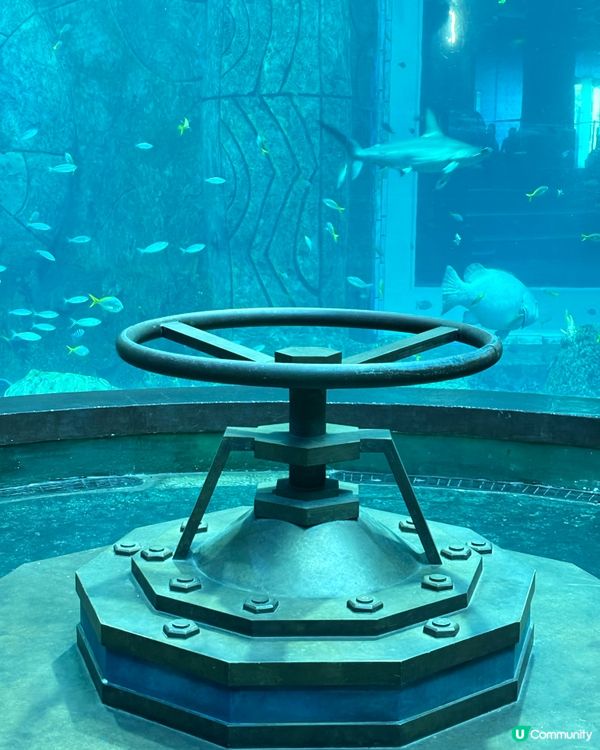 富國島巨龜水族館，人魚show，必打卡！🐢✨