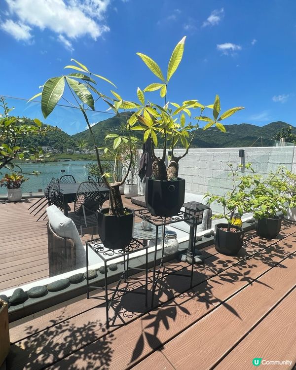 屋企升級！環保木地板首選🌲✨