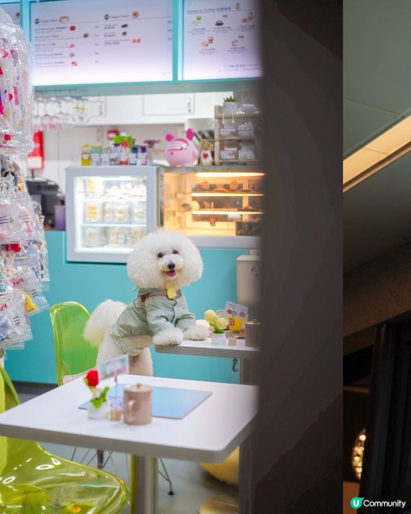 🐾寵物友善韓食☕️毛孩專屬床仔！