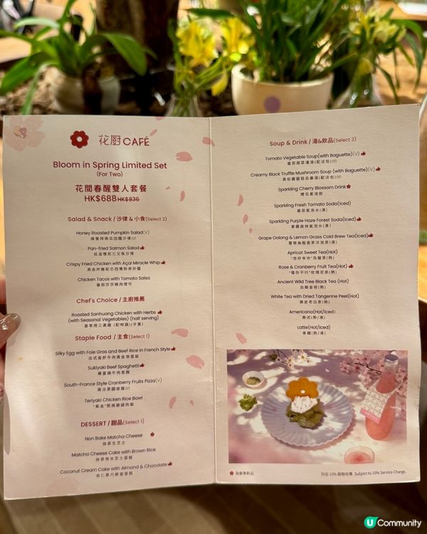 啟德｢森林系｣打卡cafe🪻🌳🌷