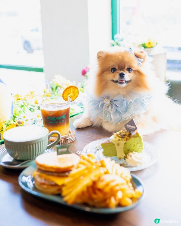 又係每日日常嘅coffee time 啦,今次我米蘇蘇去左屯...