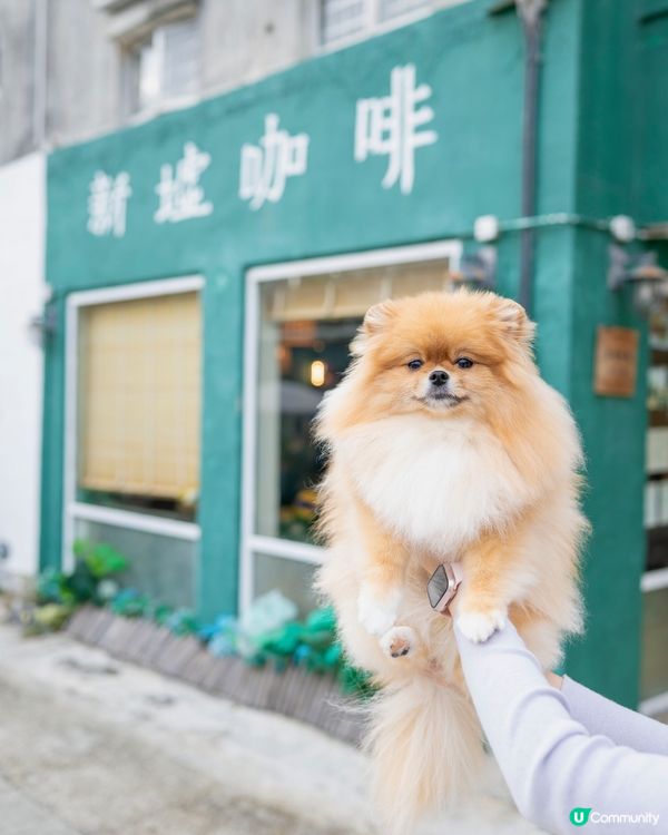又係每日日常嘅coffee time 啦,今次我米蘇蘇去左屯...