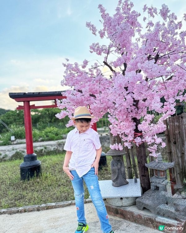 ☀️向日葵花海治癒壞心情！🌻📸