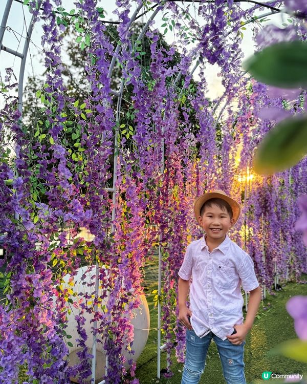 ☀️向日葵花海治癒壞心情！🌻📸