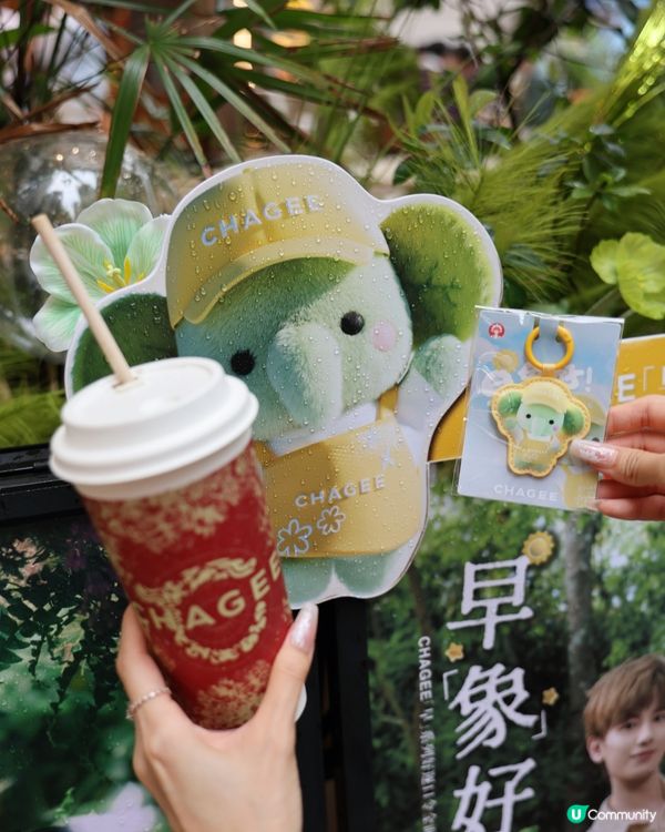 灣仔霸王茶姬！金絲小種😍 #飲品推介