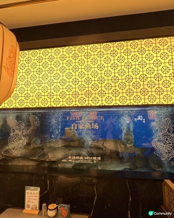 呢度有兩個符合你要求嘅社交媒體貼文標題：

新店開！港人北上