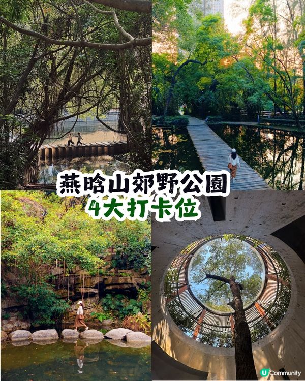 深圳燕晗山郊野公園4大隱世打卡位🚶🏻免預約、免費入場！🌳（附交通攻略）