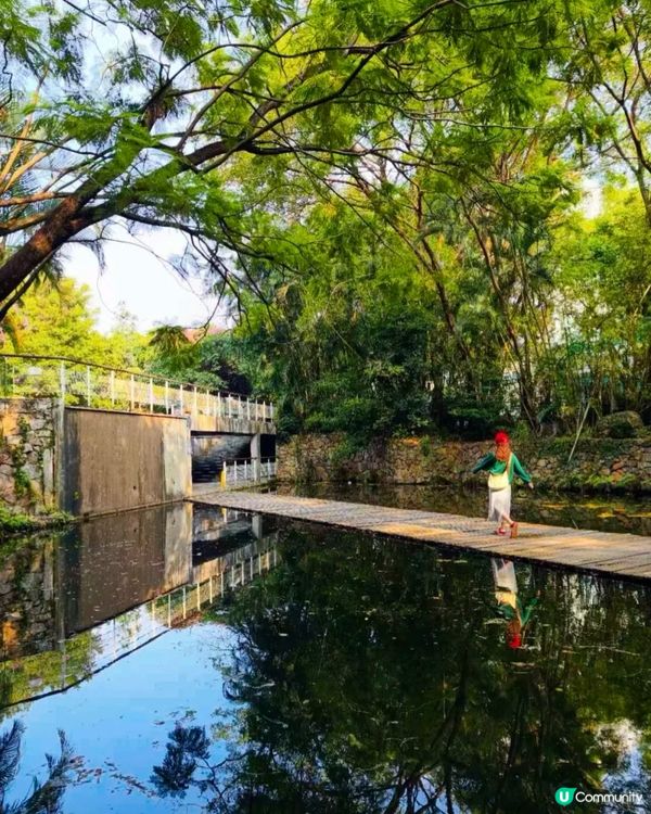 深圳燕晗山郊野公園4大隱世打卡位🚶🏻免預約、免費入場！🌳（附交通攻略）