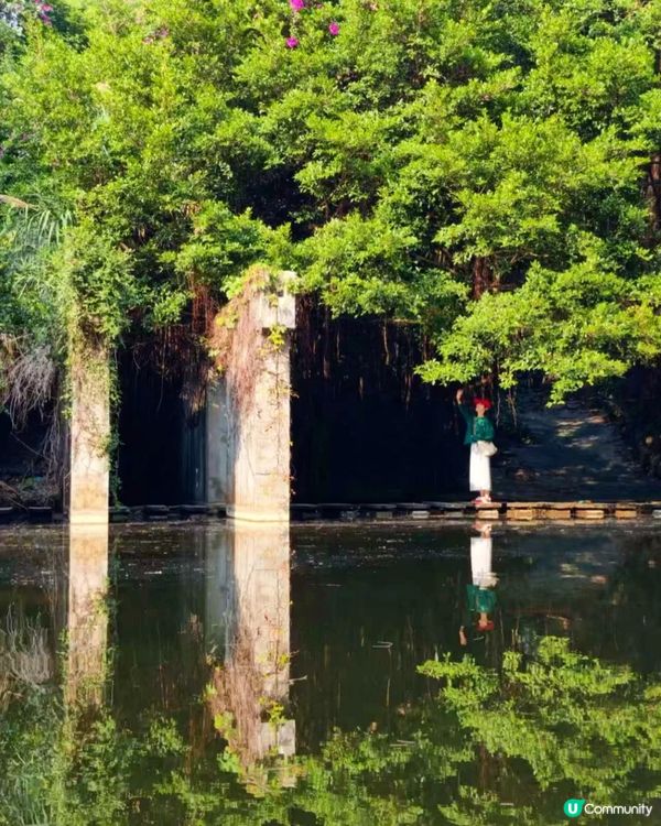 深圳燕晗山郊野公園4大隱世打卡位🚶🏻免預約、免費入場！🌳（附交通攻略）