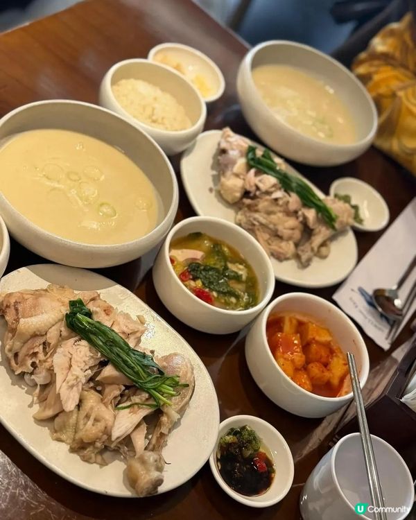 🤤聖水洞蔘雞湯！雞湯界新寵！🍲