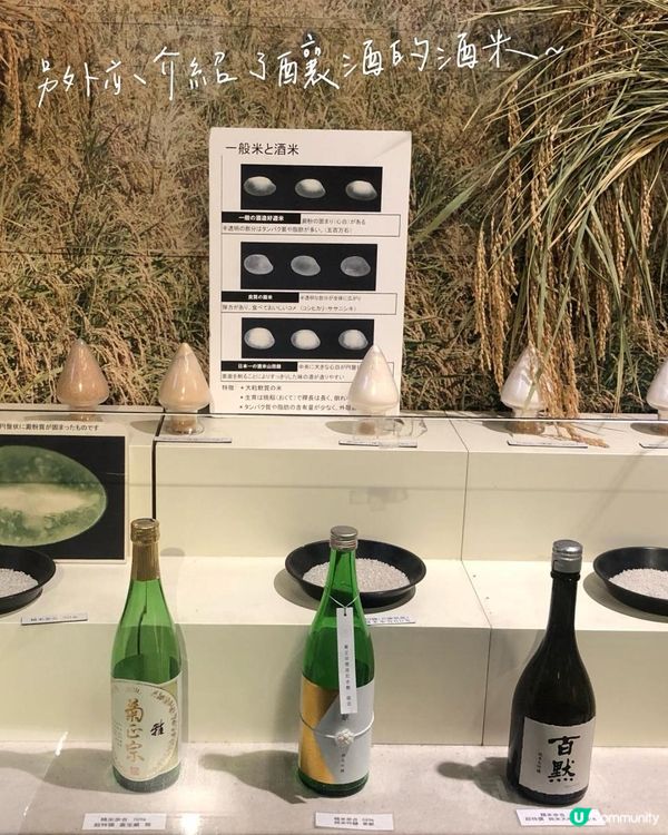 清酒之鄉—神戶灘五鄉酒廠之旅