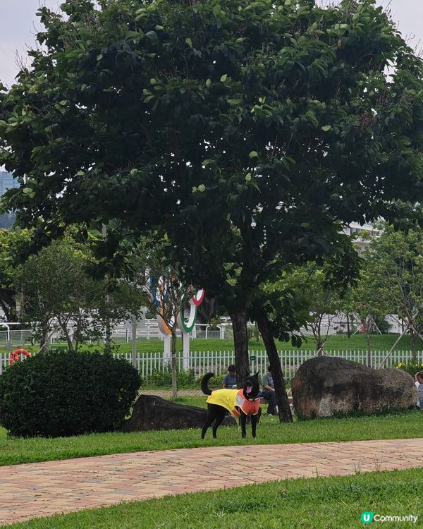 天氣好熱但好爽🌬️！一齊衝公園好開心🥳！