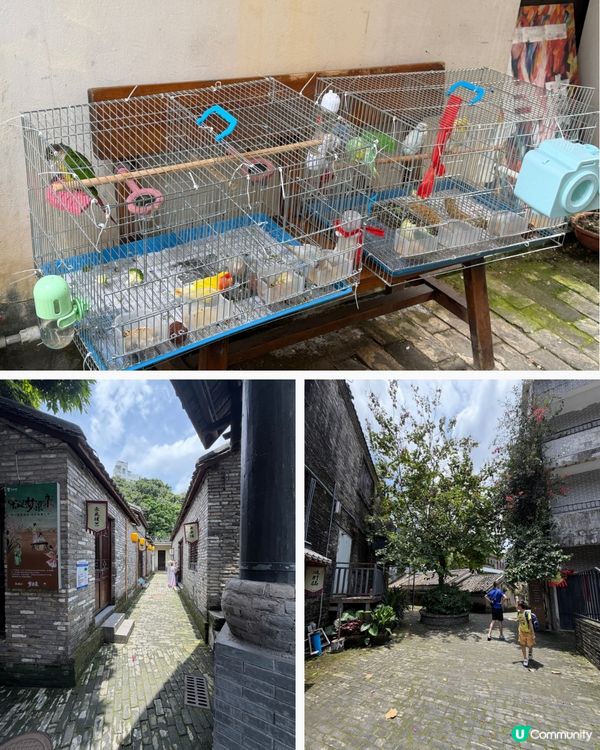 甘坑古鎮🏡，體驗客家古韵！🥰