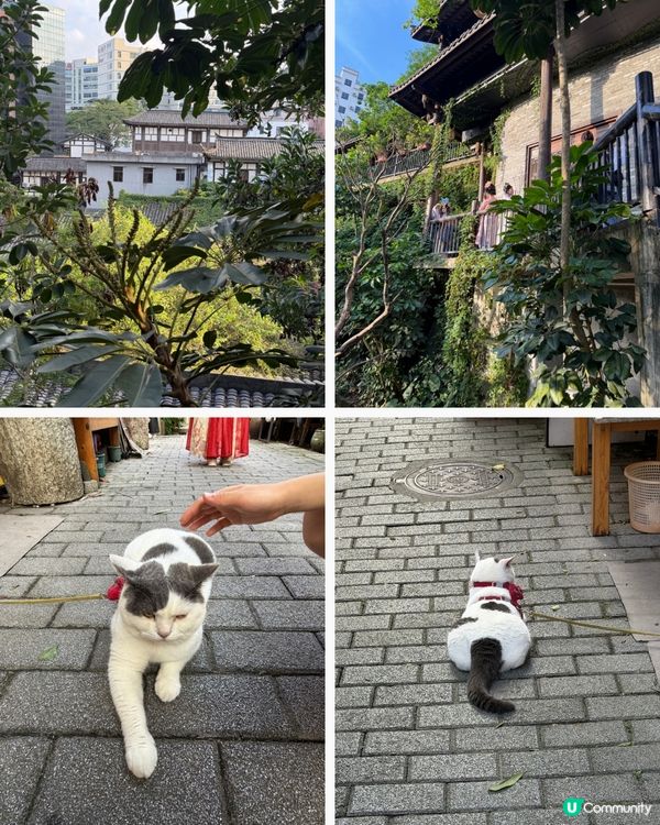 甘坑古鎮🏡，體驗客家古韵！🥰