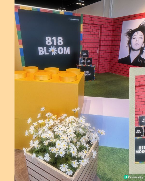 草衙道！天王快閃店🇰🇷✨