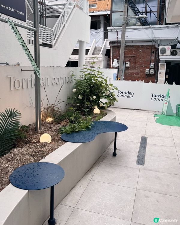 Torriden美妝實驗室！💧🌿 