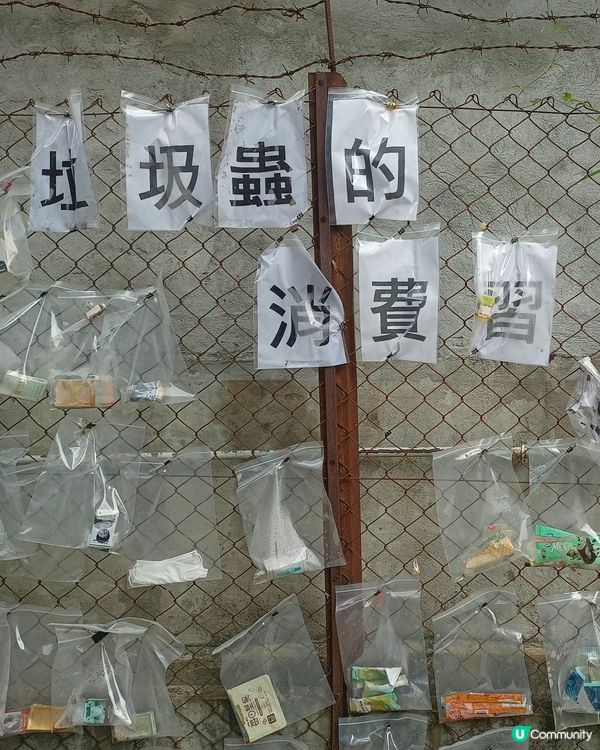 藍地特色小店！🥳 齊齊嚟藍地探險！📚