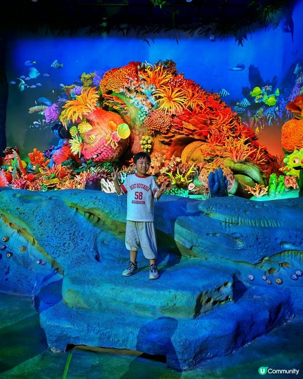 一次不太成功的珠海長隆飛船樂園體驗