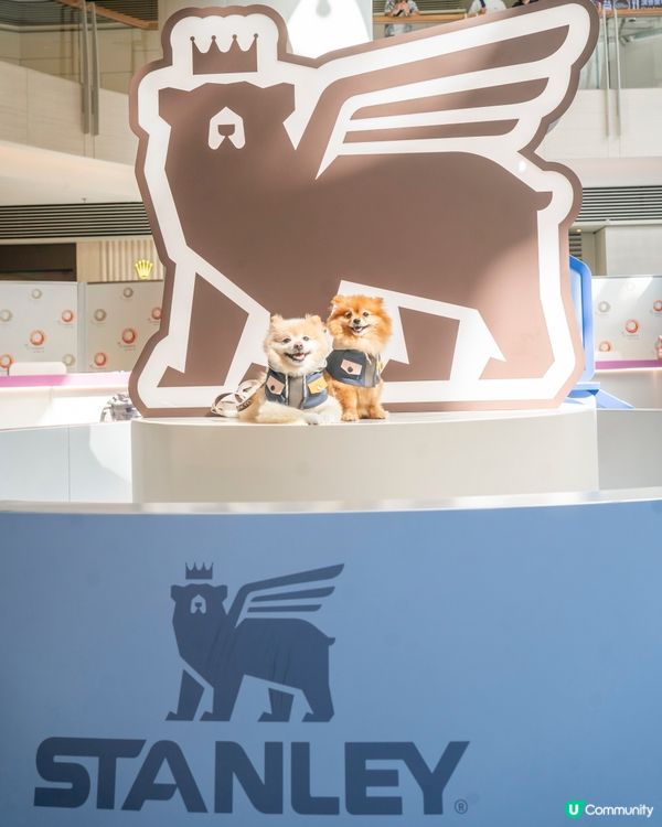 最 Hit 嘅室內寵物公園～九龍區朋友有福啦🐶🐱