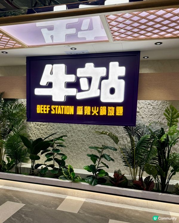 任食龍躉､美國澳洲和牛嘅火鍋放題🐮🍲