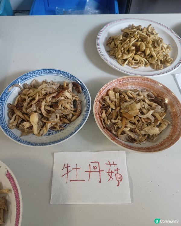 都市廢物變美食🍄🌿