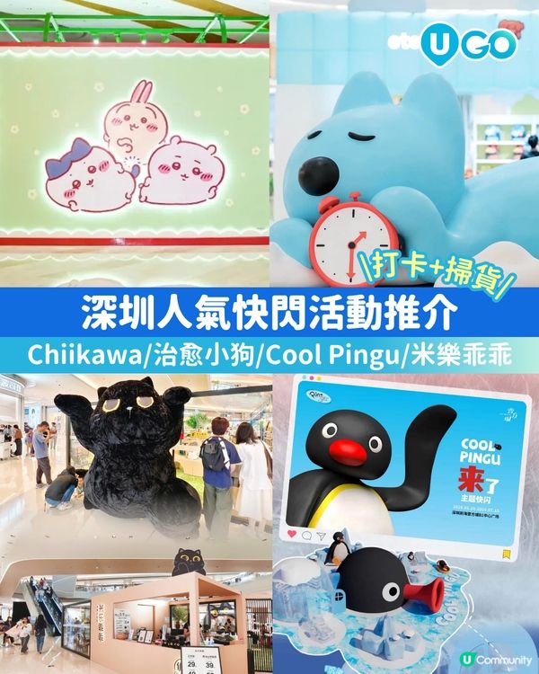 【深圳人氣快閃活動✨】