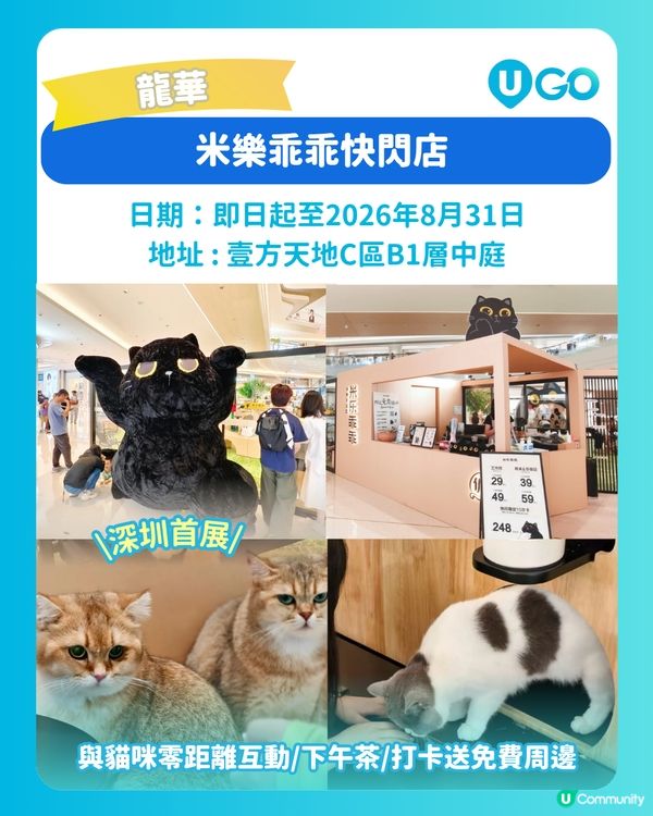 【深圳人氣快閃活動✨】