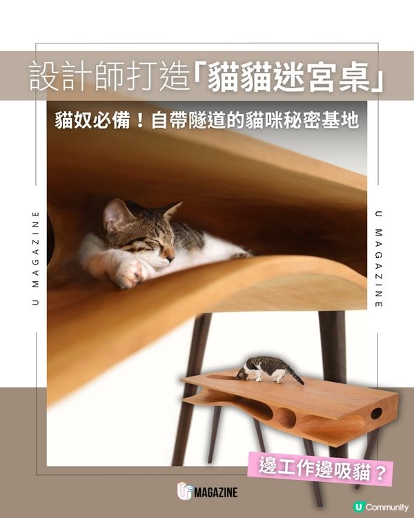 把玩具變桌子！專治主子搗亂的貓桌                                                    