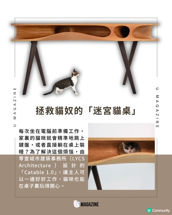 把玩具變桌子！專治主子搗亂的貓桌                                                    