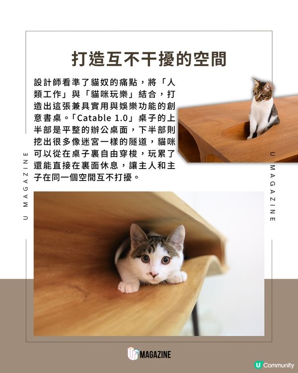 把玩具變桌子！專治主子搗亂的貓桌                                                    
