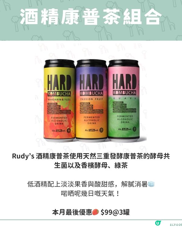 【🌲EC森林：ECgg與Rudy’s 酒精康普茶 】 