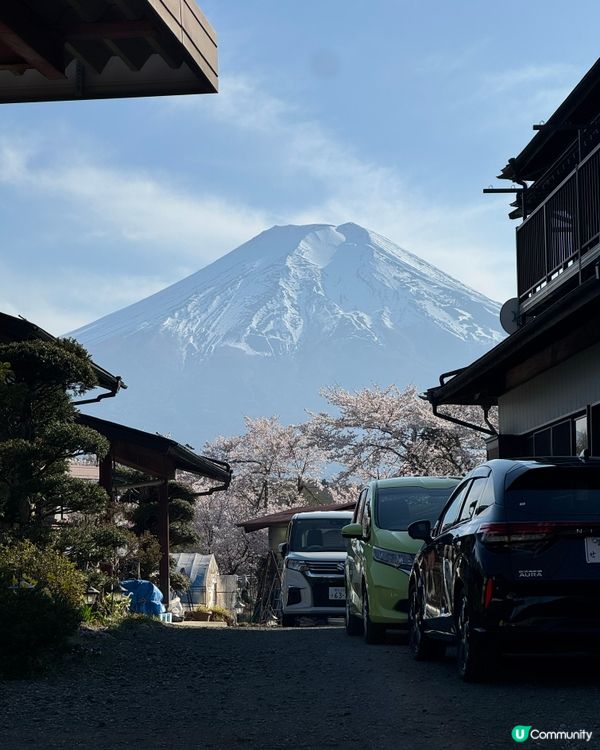 河口湖之旅｡很幸運每日都陽光普照,幾經周折終於到達忍野八海,...