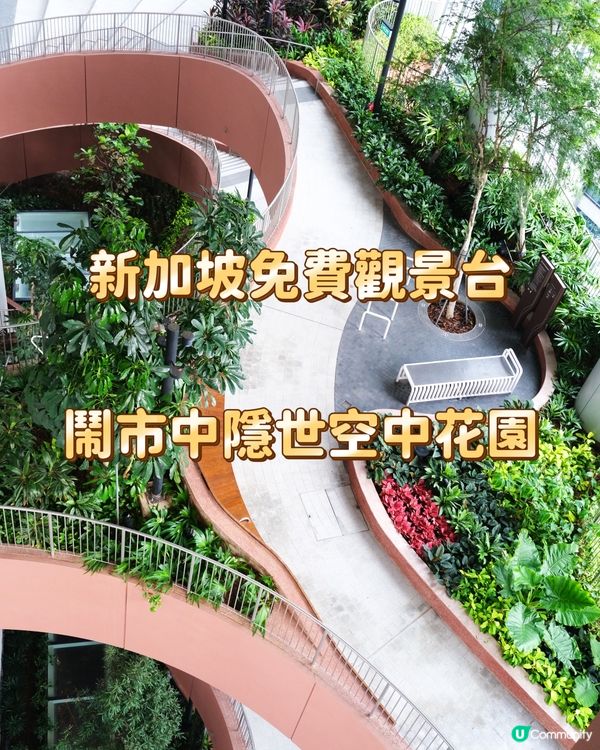 新加坡免費觀景台 鬧市中隱世空中花園