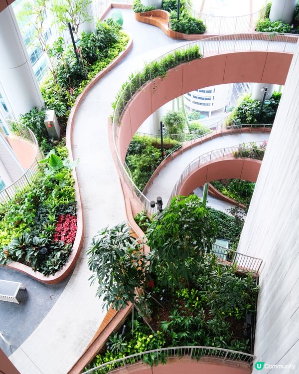新加坡免費觀景台 鬧市中隱世空中花園