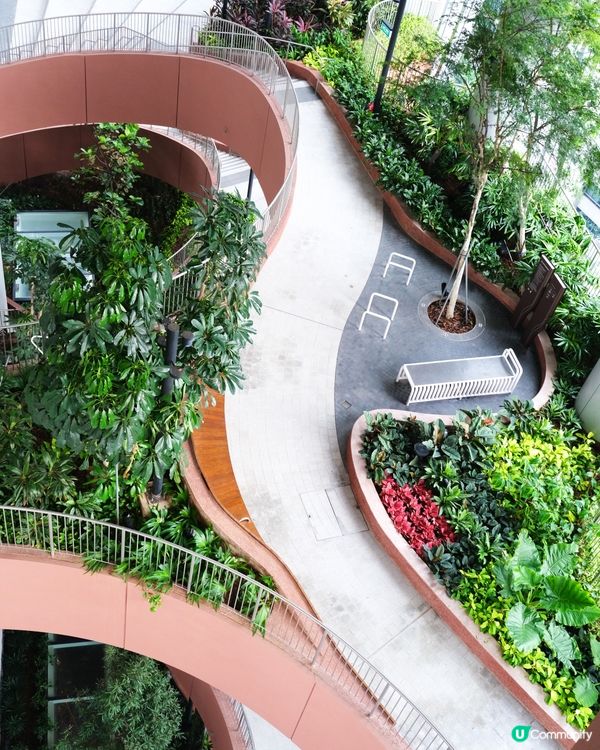 新加坡免費觀景台 鬧市中隱世空中花園