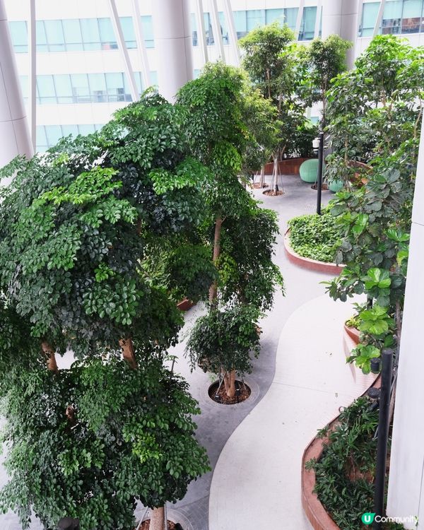 新加坡免費觀景台 鬧市中隱世空中花園