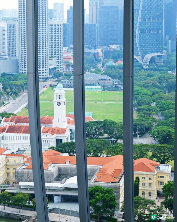 新加坡免費觀景台 鬧市中隱世空中花園