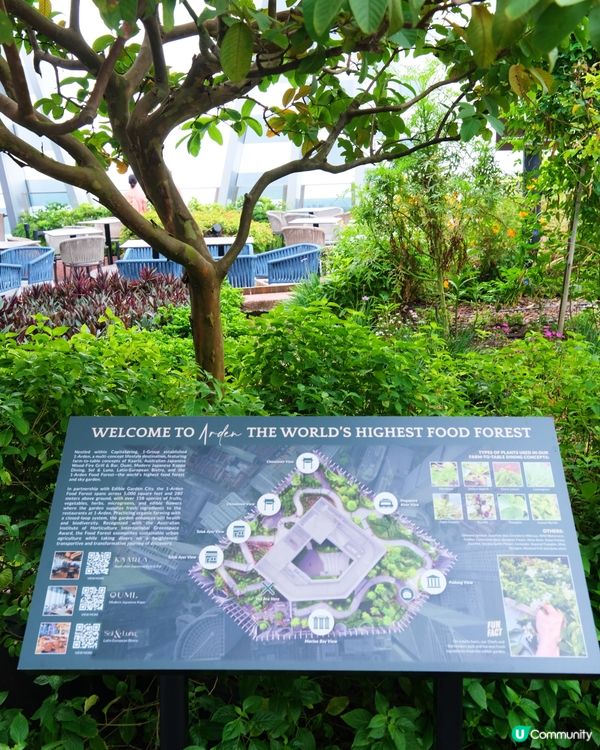 新加坡免費觀景台 鬧市中隱世空中花園
