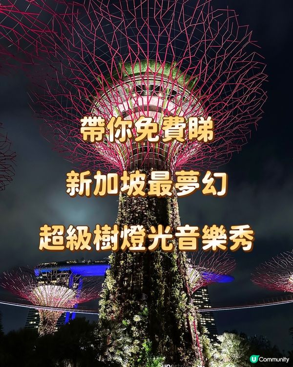 帶你免費睇 新加坡最夢幻 超級樹燈光音樂秀