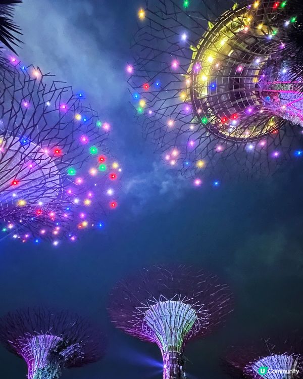 帶你免費睇 新加坡最夢幻 超級樹燈光音樂秀