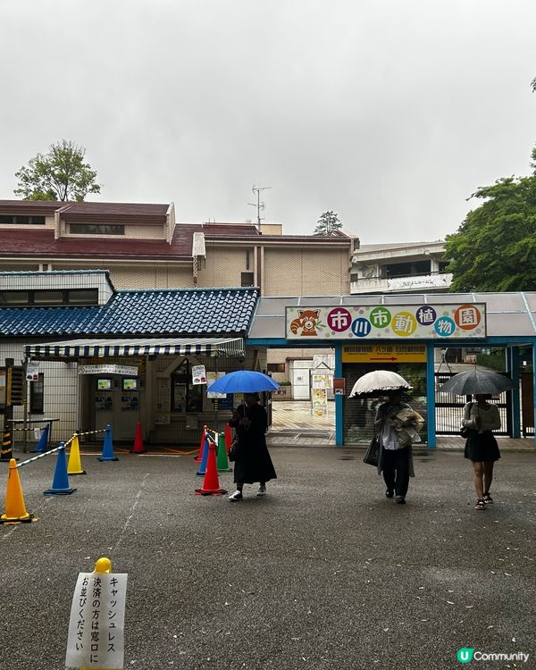 加油呀胖奇