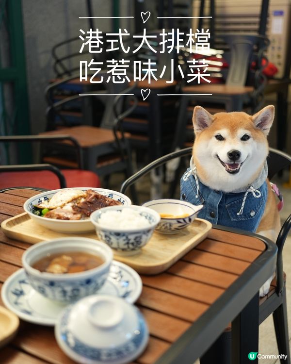 🇭🇰港式大排檔·食地道小菜🍲