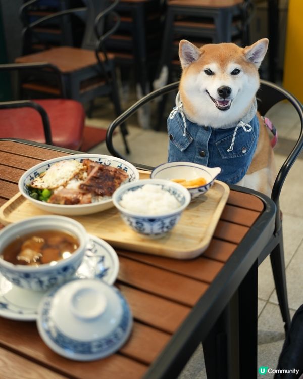 🇭🇰港式大排檔·食地道小菜🍲