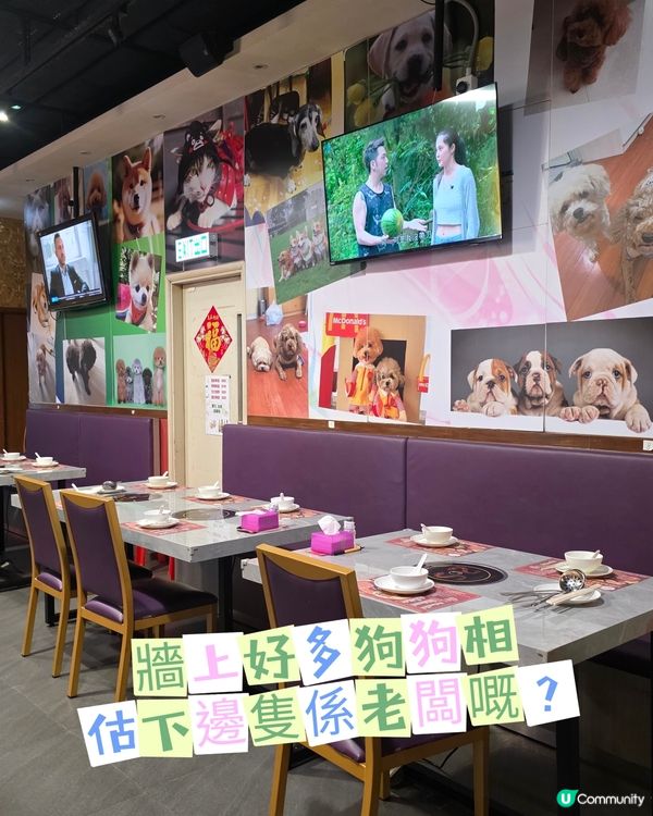 「福龍門海鮮火鍋酒家」開業將近10年, 食材新鮮、龍躉鱔出眾...