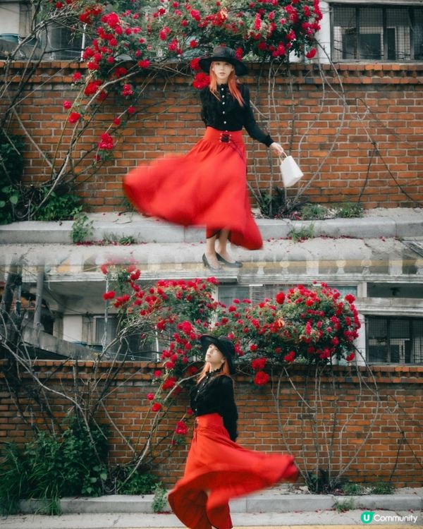 玫瑰🌹季！水原華城！