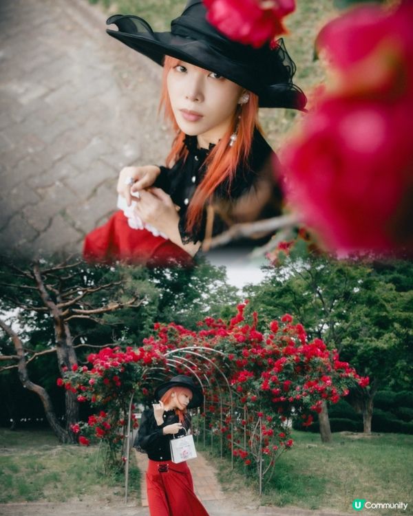 玫瑰🌹季！水原華城！